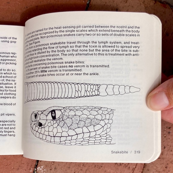 1985 Nature Bound Pocket Field Guide Edible Plant Identification Survival Guide - Picture 7 of 12